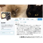 仲谷明香が&ldquo;元AKB48&rdquo;に悩む「焦らないで！着実に頑張ります！」。