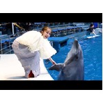 水族館にももクロ百田さん登場