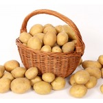 火星への移住者、&ldquo;ジャガイモハウス&rdquo;で生活するかも？