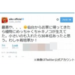 aikoの自宅にキノコ大量発生「最悪や、、、わしゃ栽培家か！」。