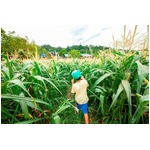 &ldquo;迷路の数が日本最多&rdquo;の施設、8施設13種類の「迷路百貨店」オープン。