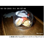 世界が見守る&ldquo;最後のマック&rdquo;、一時は美術館陳列のバーガー＆ポテト。