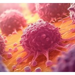 毎日の&ldquo;夜の営み&rdquo;にがん予防効果、1日わずか4分以内でOK