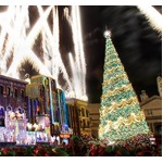 輝き増すUSJの&ldquo;光のツリー&rdquo;、ギネス認定ツリーがさらに美しく。