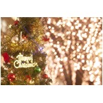 &ldquo;イブのラブホ&rdquo;今でも満室？ 「さまぁ〜ずの神ギ問」調査の結果は&hellip;。