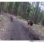 山の中でクマさん追いかけてきた&hellip;恐怖の瞬間