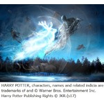 USJ、圧倒的スケールのハリポタナイトショー