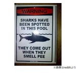 「プールでサメが目撃されました。注意！」