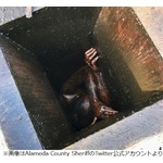 換気扇ダクトから抜けられなかった男性、2日後に救出