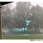 庭を移動する謎の青い光、いったいこれは&hellip;