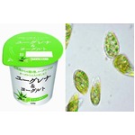 コンビニに&ldquo;ミドリムシ&rdquo;商品、業界初のヨーグルトを全国で発売。