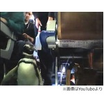 てくてく歩く&ldquo;機内ペンギン&rdquo;、旅客機の通路に現れた珍客に喜ぶ。