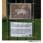&ldquo;迷子犬からの手紙&rdquo;に反響、飼い主の愛情伝わる内容にコメント殺到。