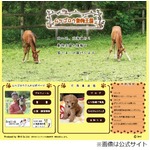 畑正憲&ldquo;動物愛が消えた&rdquo;否定「ここで嫌いになったらバカですよ」。