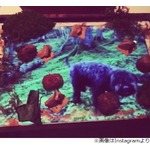 iPadを&ldquo;お皿&rdquo;にする三つ星レストラン