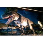 店内が恐竜だらけのレストラン、&ldquo;原寸大ティラノ&rdquo;などロボット20体。