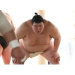 不器用な大器、開花間近か＝熱海富士、足踏み中に転機―大相撲・春風満帆