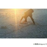 &ldquo;砂浜で釣りするゴリラ&rdquo;が話題に