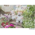 ダッフィーのウェアに新作登場、ウェディングシーンにぴったり。