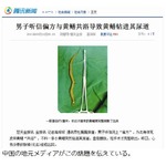 &ldquo;お魚セラピー&rdquo;で尿道に突入、ツルツルのタウナギがスルッと体内へ。