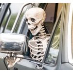 &ldquo;助手席にガイコツ&rdquo;運転手に罰金