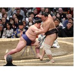 藤青雲の押し出し