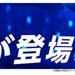 &ldquo;原寸大のジンベエザメ&rdquo;ウェブで公開