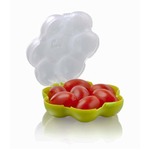 ミニトマト守る頑丈ケース上陸、つぶれやすくて持ち歩きづらい悩み解決。