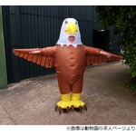 &ldquo;鳥&rdquo;になって迷惑カモメをやっつけろ！ 動物園が撃退係募集