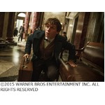 ハリポタ新シリーズの最新予告、魔法のトランク内に潜む魔法動物が&hellip;。