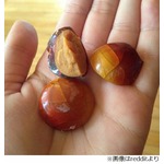 卵を何年か放置しておいたら、想像とは違う中身に驚きの声が続々。