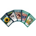 ジャポニカ学習帳人気1位は？ 昆虫が独占した各年代1位表紙を復刻へ。