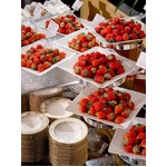 いちご6銘柄食べ比べブッフェ、スイーツも揃う「いちごジャーニー」。