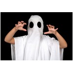 墓で&ldquo;おばけのフリ&rdquo;して逮捕、奇妙な声発しながら人々を脅かす。