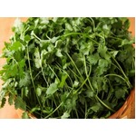 アジア料理とパクチー食べ放題、「アジアン・パクチーフェア」開催。