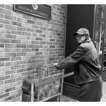 のん、仲間と共に「ハリー・ポッター」魔法ワールドの世界へ