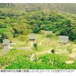 元女優の高樹沙耶、大麻所持で逮捕