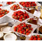 約6銘柄のフレッシュいちご食べ比べビュッフェ