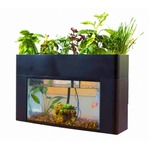 &ldquo;魚で野菜を育てる&rdquo;キット、クラウドファンディングで販売開始。