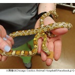 脱走ヘビ発見、ダウニーの香りが&hellip;