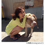 吉木りさがピットブルにピタッ「ぶちゃいくわんちゃん（ハート）」。