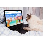 ラグジュアリー&ldquo;猫用&rdquo;ホテル、豪華な食事や優雅な空間でおもてなし。