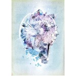 RADWIMPSが3年ぶりDVD首位に、ライブ＆密着ドキュメントがひとつに。