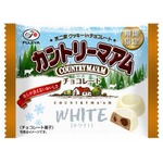 冬しか会えないマアムチョコ、雪のように真っ白なチョココーティング。