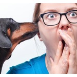 ペットと話せる未来は近い？ &ldquo;コウモリの声&rdquo;翻訳に成功