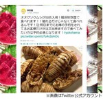 GW限定オオグソクムシの唐揚げ、横浜の人気店「珍獣屋」が提供。