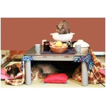 ぽかぽか空間「こたつねこ」、にゃんこと人が一緒に暖まるスペース。