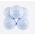 散歩好きのわんこ、体調不良で胃を調べたら&hellip;