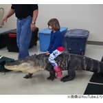 &ldquo;ワニに乗る子ども&rdquo;に警鐘