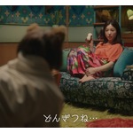 吉高由里子＆板垣李光人で&ldquo;どんぎつね&rdquo;新CMシリーズがスタート